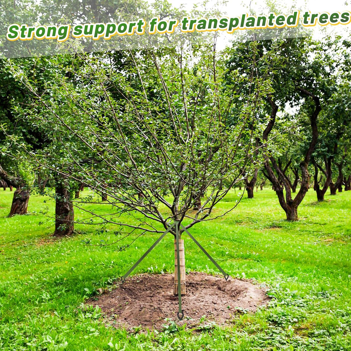 2,425 Lbs Strength Tree Saver Straps, 108FT Tree Staking Tie Support Straps
