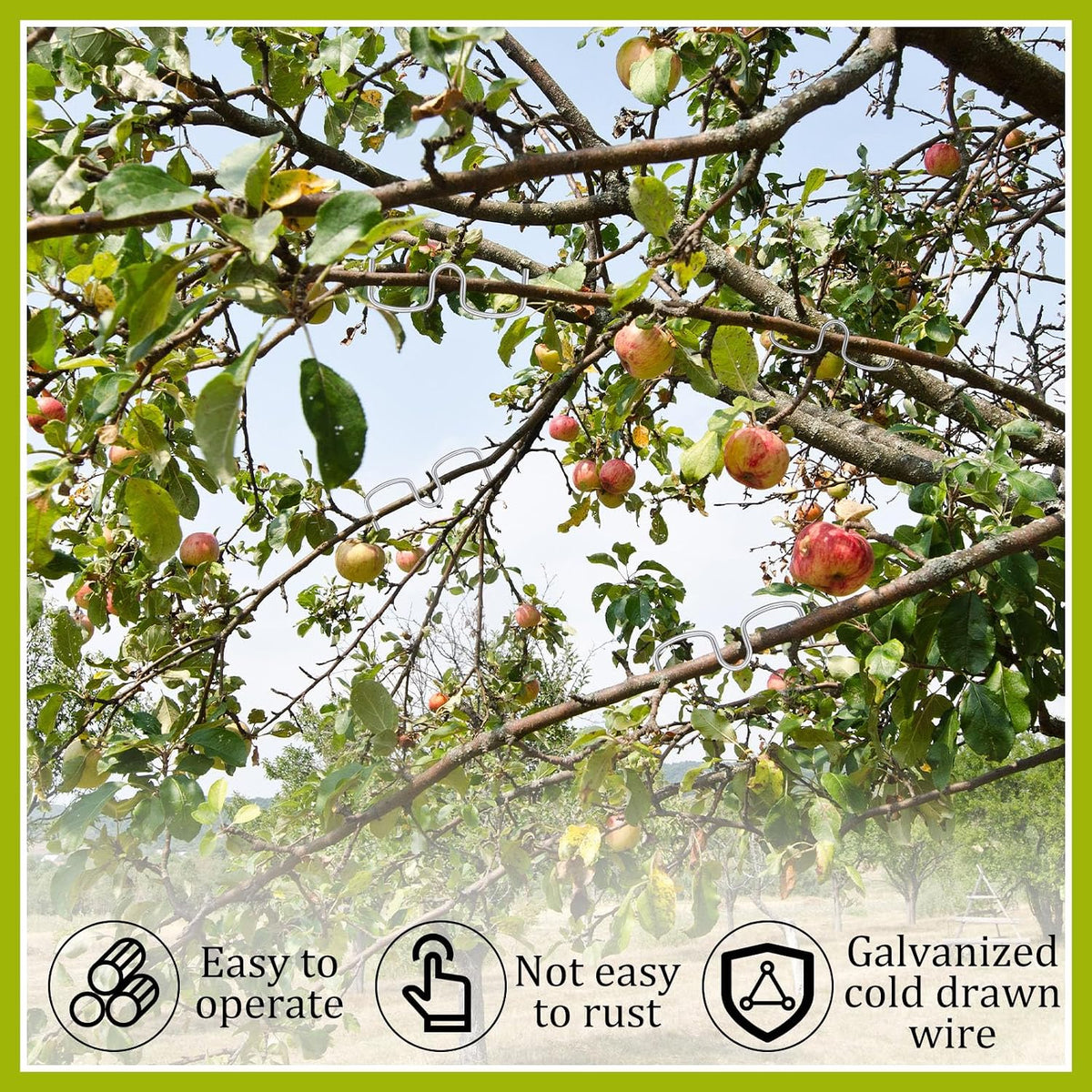 MorningRo 50 Pcs Fruit Tree Limb Spreaders Branch Bender, M-5.12(inch)